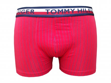 TOMMY HILFIGER Pánské boxery 1233 2Pack PRUH