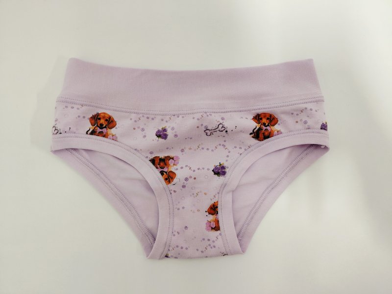 Emy Bimba kalhotky dívčí 2946 fialové | Vermali.cz